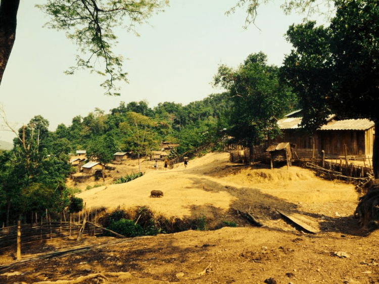 10262179_10154110396700038_4667495537608190327_n