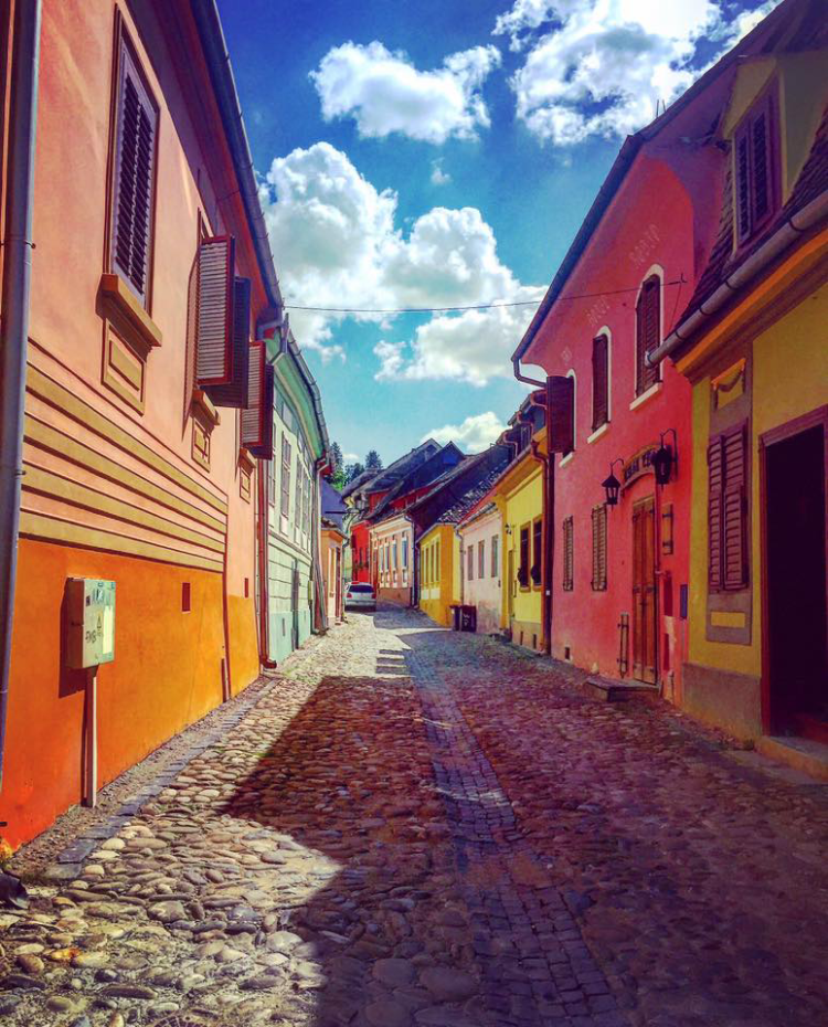 13339464_10157065370340038_464909368135582026_n