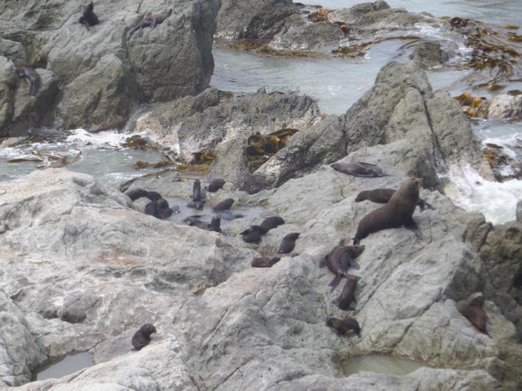 1535593_10153792551855038_383160590_n