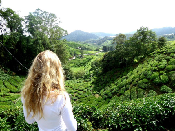 1978897_10155106601885038_7962043717571459278_n