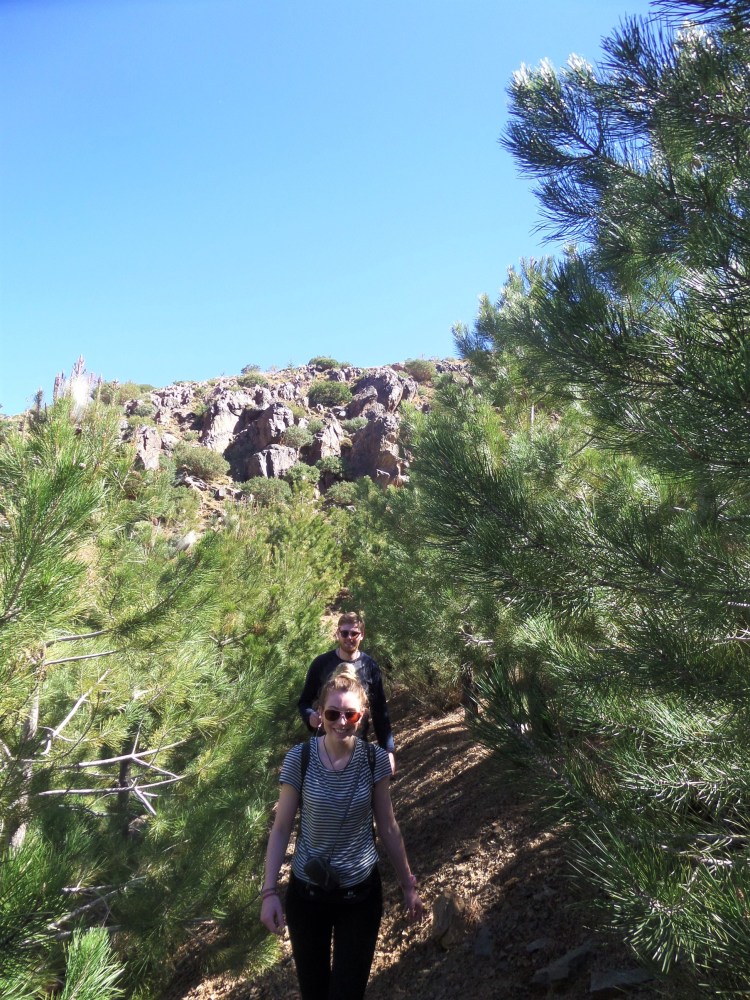 SAMSUNG CAMERA PICTURES