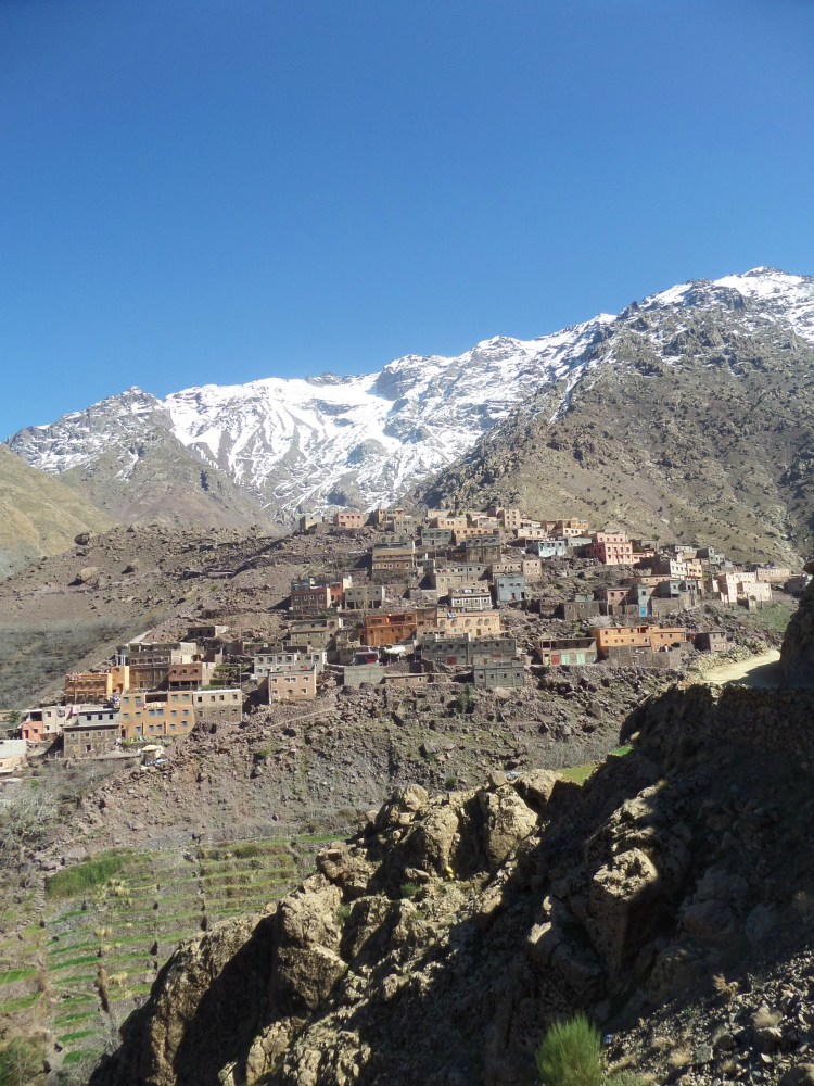 SAMSUNG CAMERA PICTURES