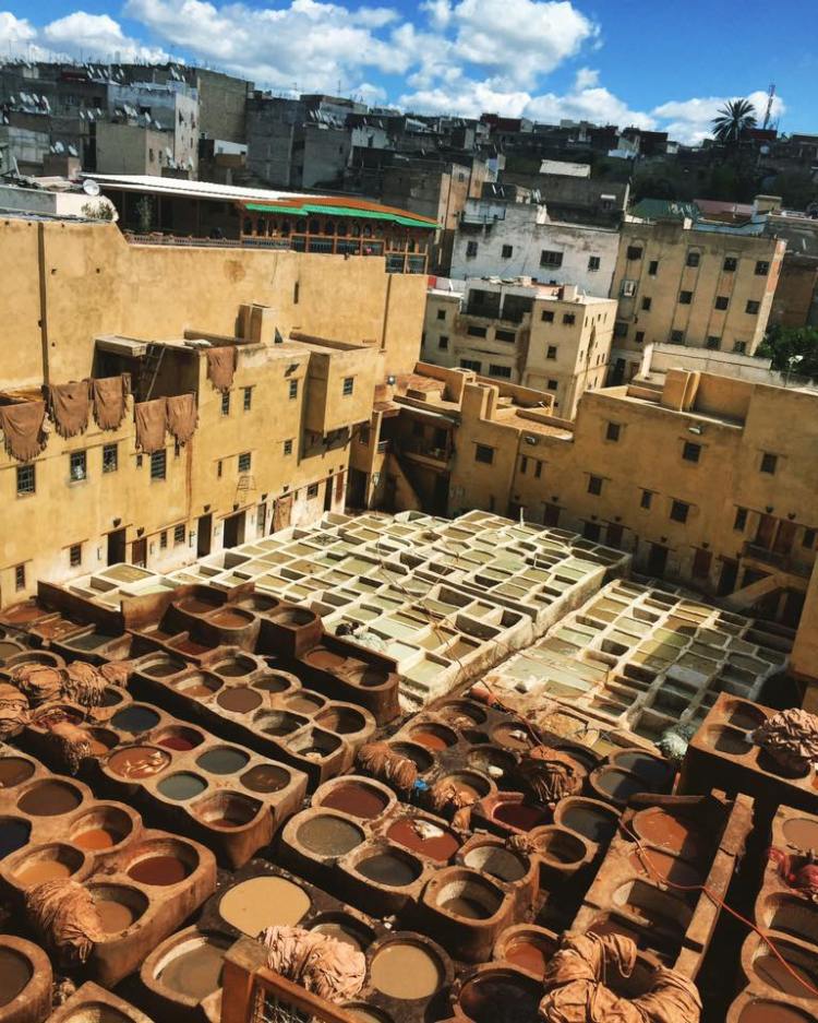 17362813_10158476405310038_3244858220618823457_n